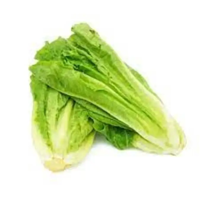 Fresh Lettuce Cos Pack